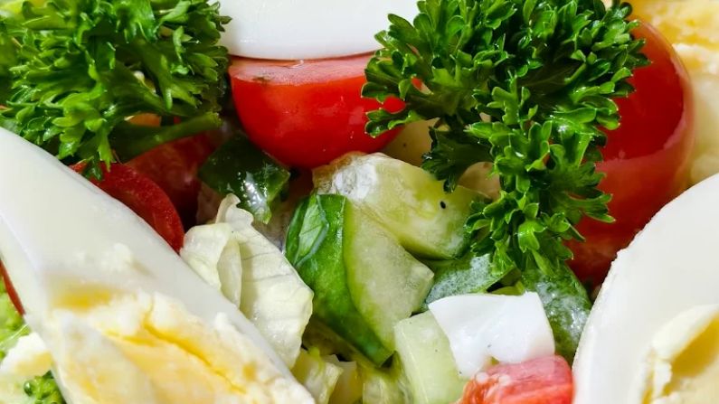 PROTMEALS Peroorkada