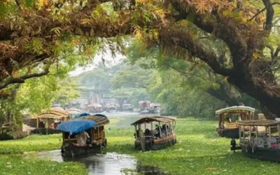 Places to Visit in Alappuzha – Honestly, My Favourite Part of Kerala