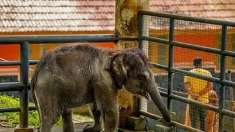 places to visit in pathanamthitta